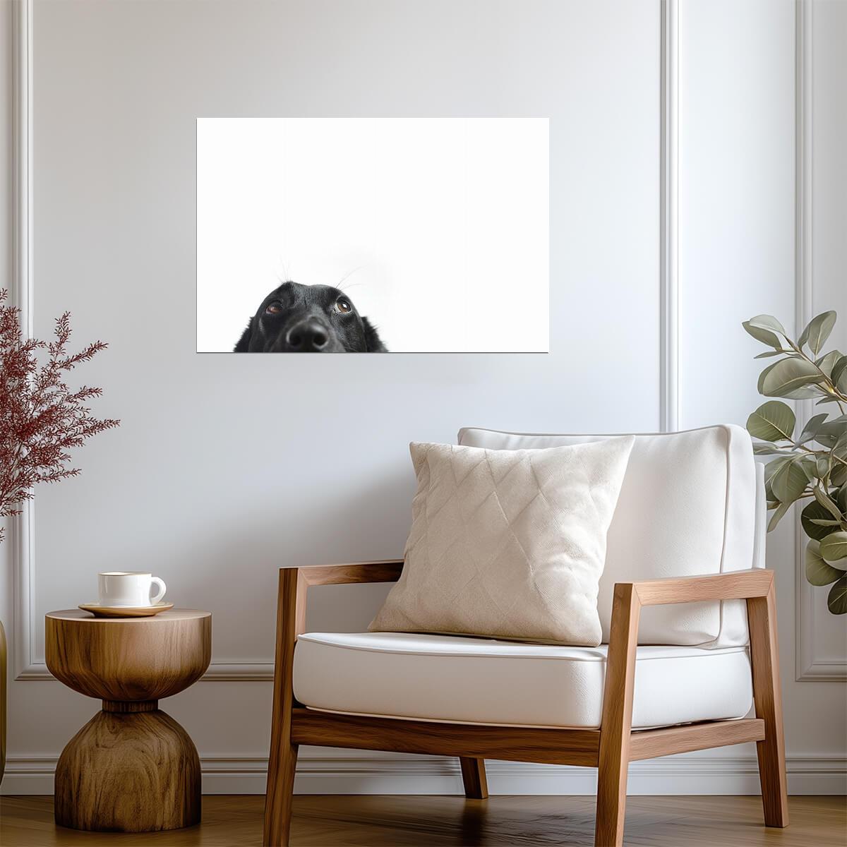 Cute Black Dog Peeking | Funny Animal Photography | Humorous Pet Poster - Photography Poster
