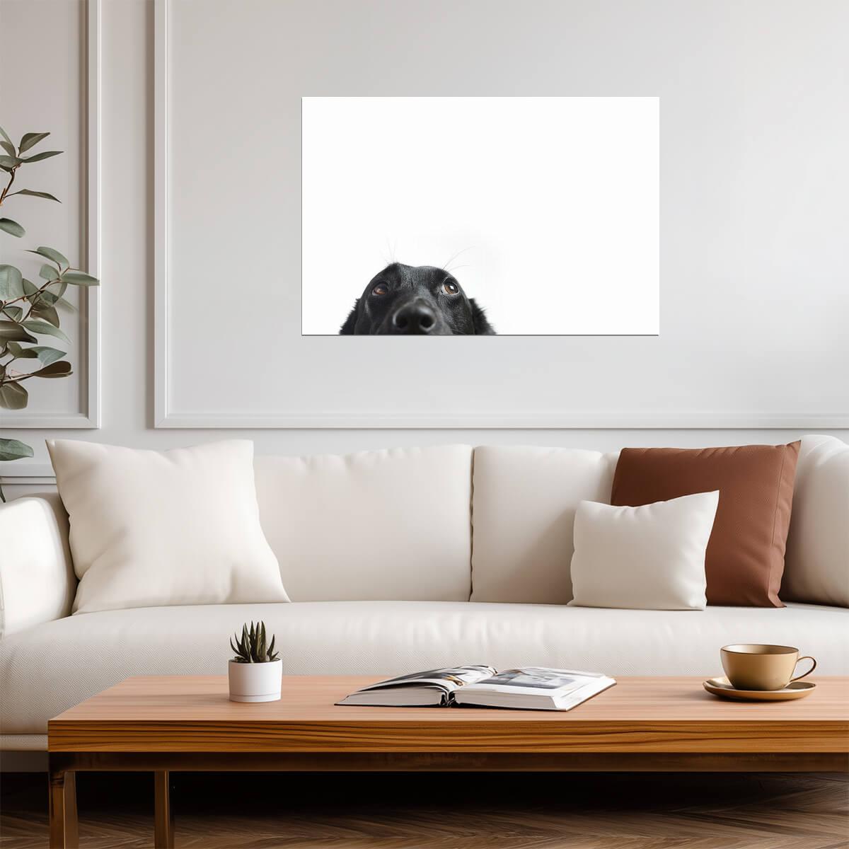 Cute Black Dog Peeking | Funny Animal Photography | Humorous Pet Poster - Photography Poster