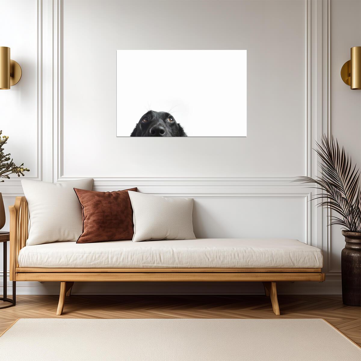 Cute Black Dog Peeking | Funny Animal Photography | Humorous Pet Poster - Photography Poster