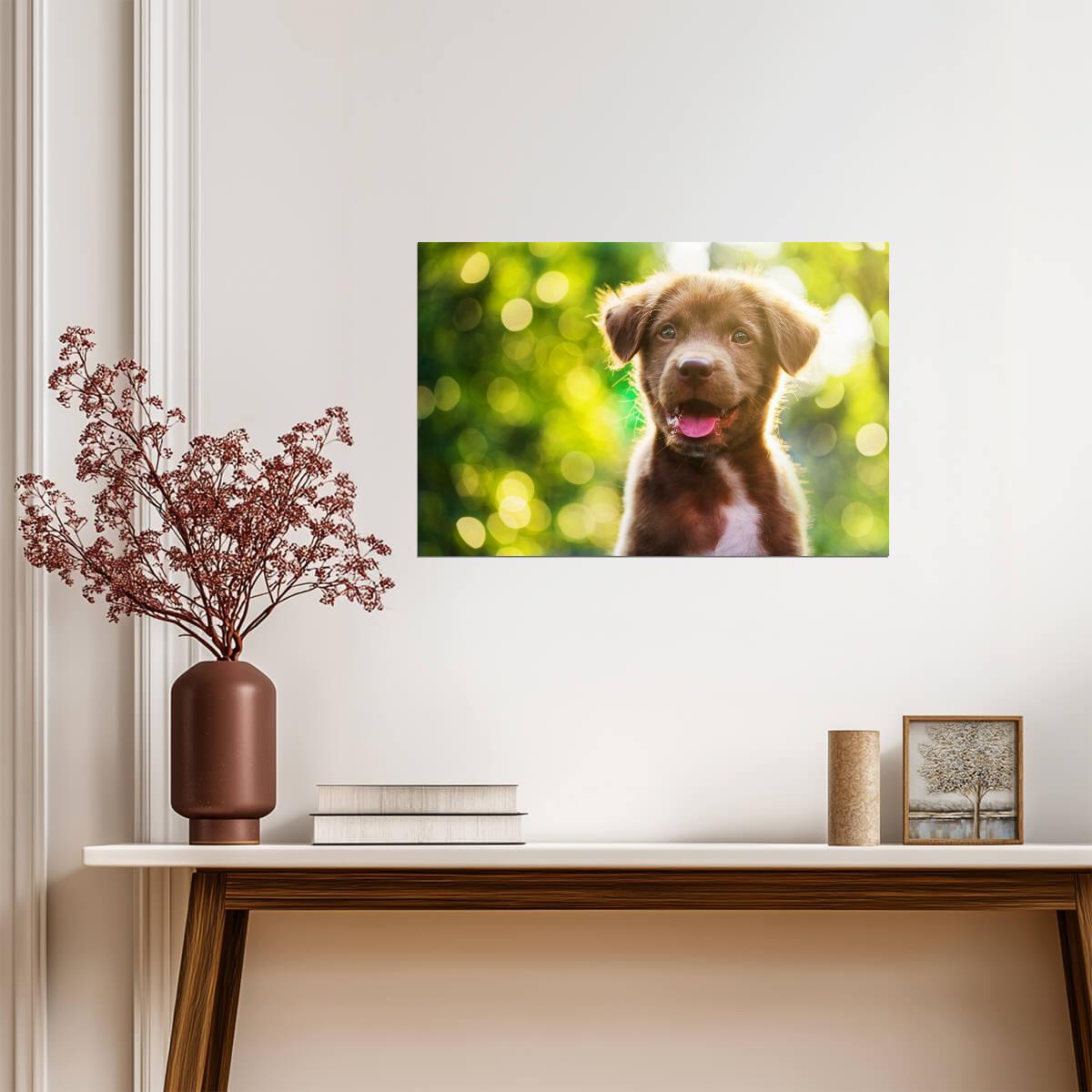 Cute Brown Puppy Outside | Pet Photography | Adorable Dog Poster - Photography Poster