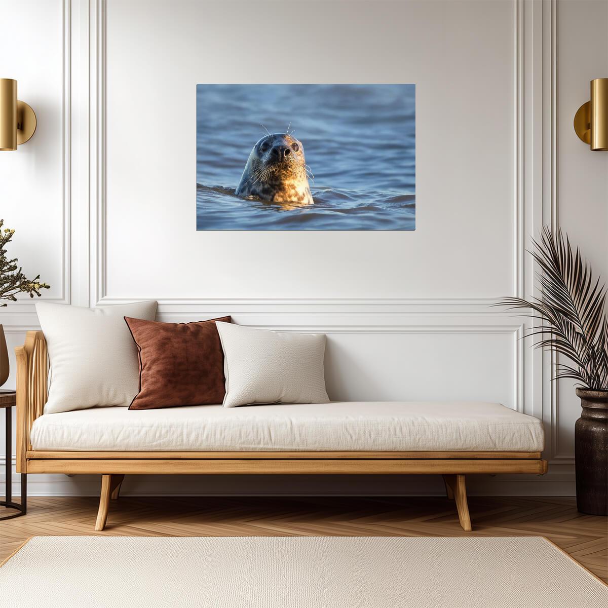 Grey Seal in the Water | Marine Wildlife Photography | Animal Portrait Poster - Photography Poster
