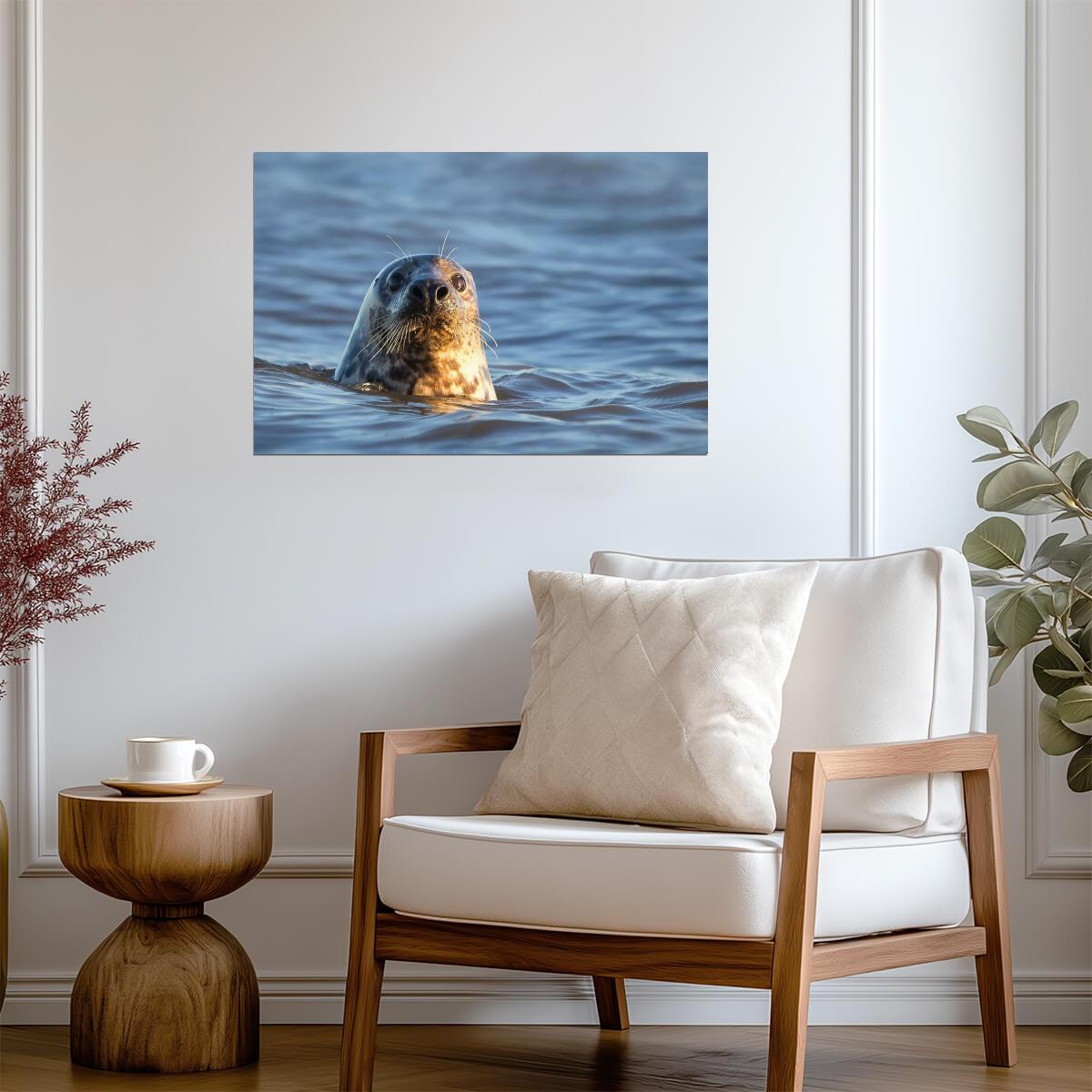 Grey Seal in the Water | Marine Wildlife Photography | Animal Portrait Poster - Photography Poster