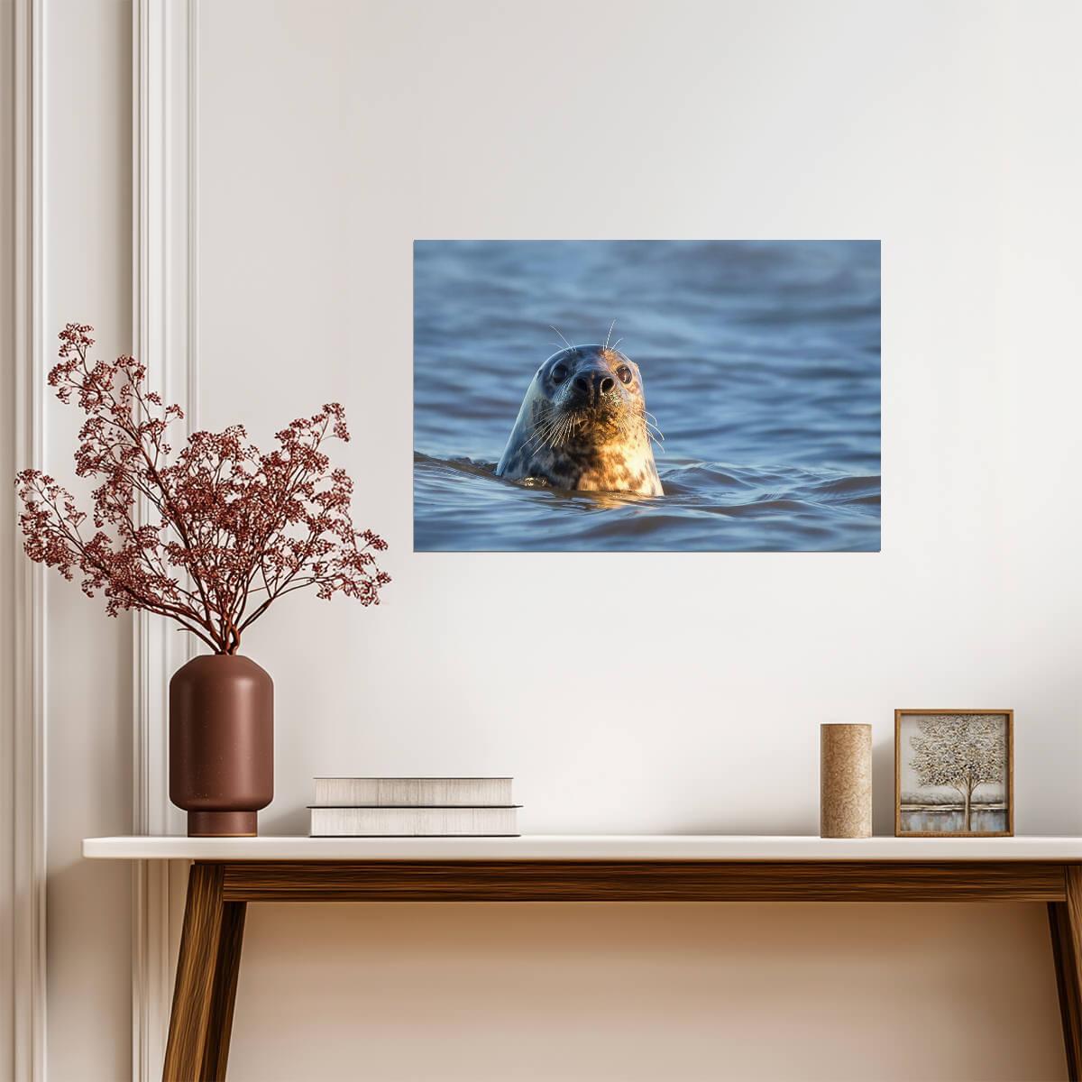 Grey Seal in the Water | Marine Wildlife Photography | Animal Portrait Poster - Photography Poster