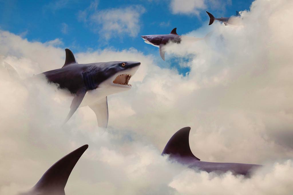 Sharks Floating in the Clouds | Surreal Art Print | Whimsical Animal Poster - Graphic & Art Poster