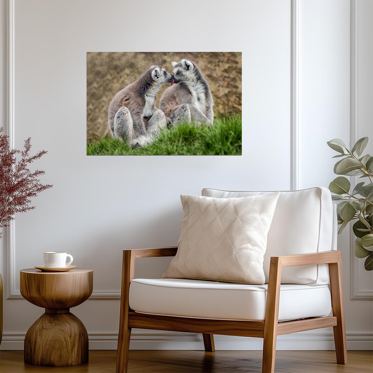 Two Lemurs in Love | Cute Animal Photography | Wildlife Couple Poster - Photography Poster