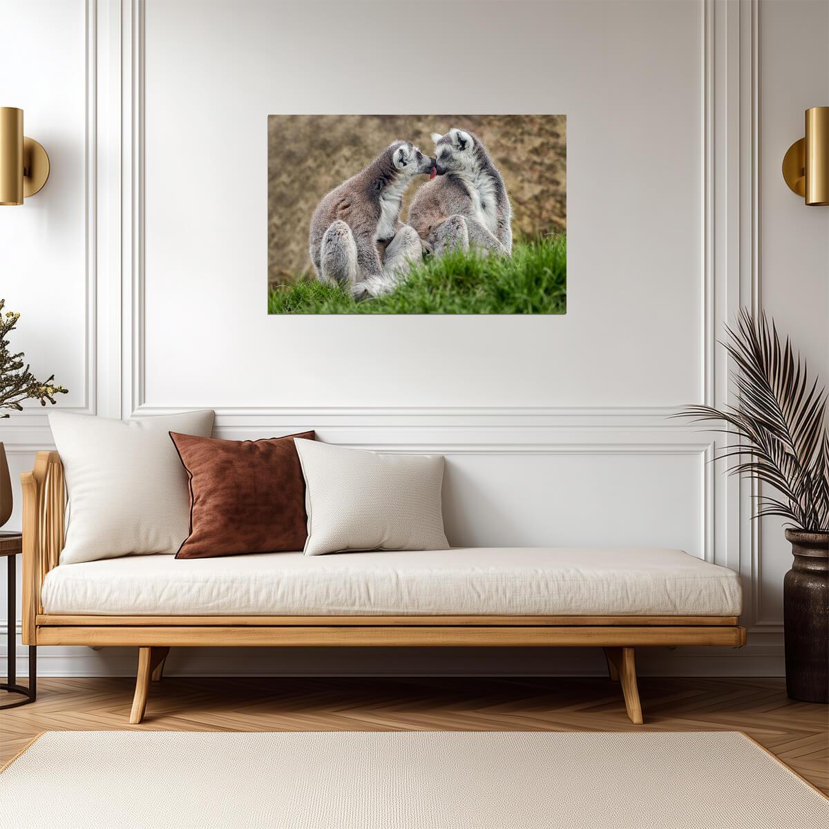 Two Lemurs in Love | Cute Animal Photography | Wildlife Couple Poster - Photography Poster