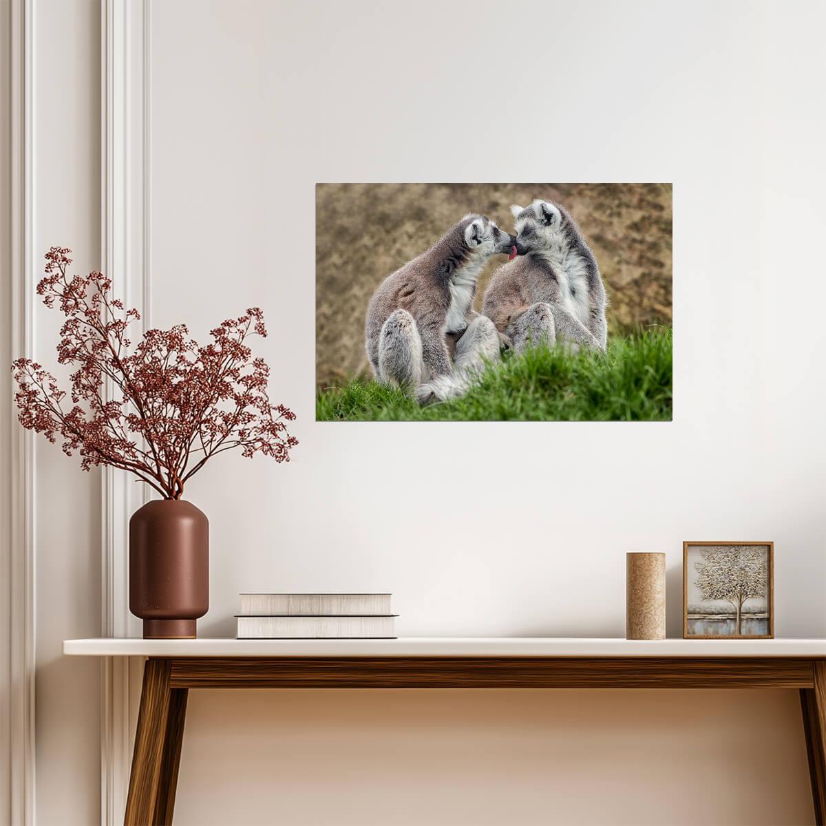 Two Lemurs in Love | Cute Animal Photography | Wildlife Couple Poster - Photography Poster
