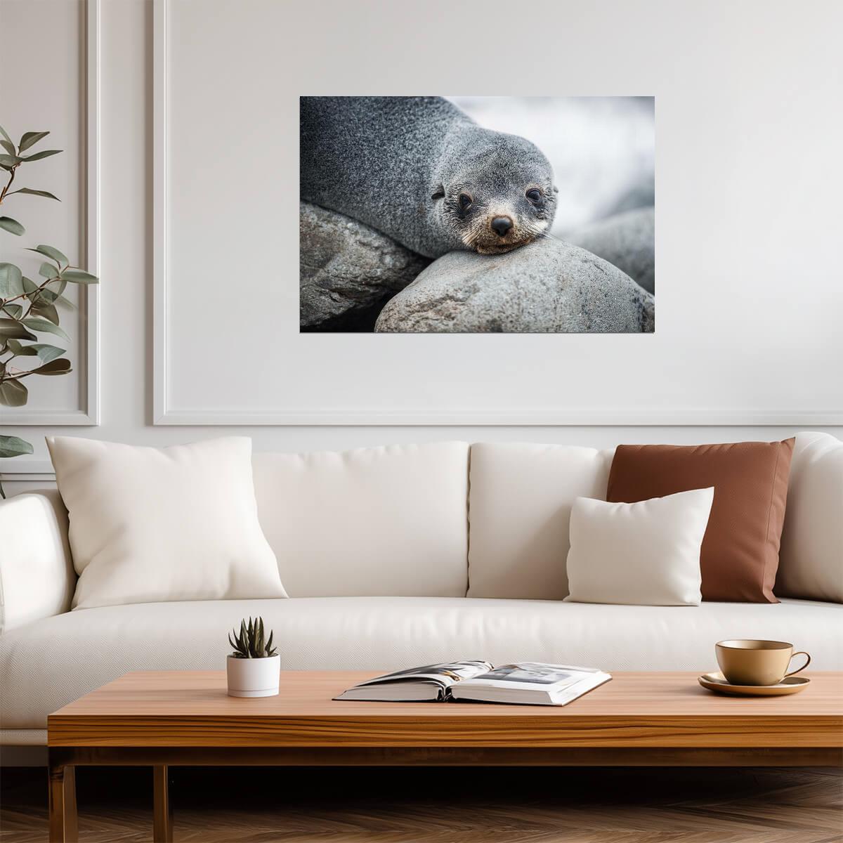 Antarctic Fur Seal Portrait | Wildlife Photography | Animal Poster - Photography Poster