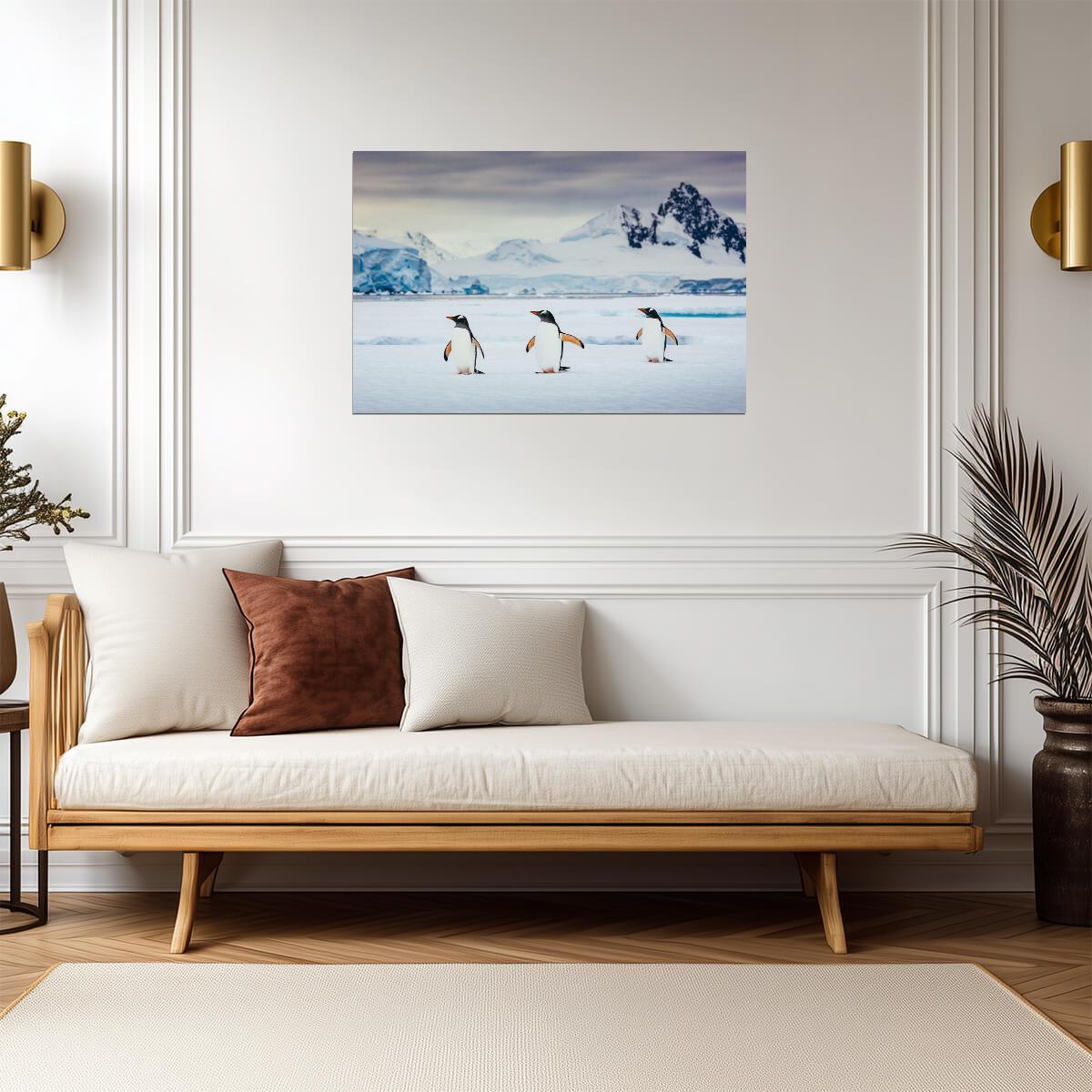 Trio of Gentoo Penguins in Antarctica | Wildlife Photography | Bird Poster - Photography Poster