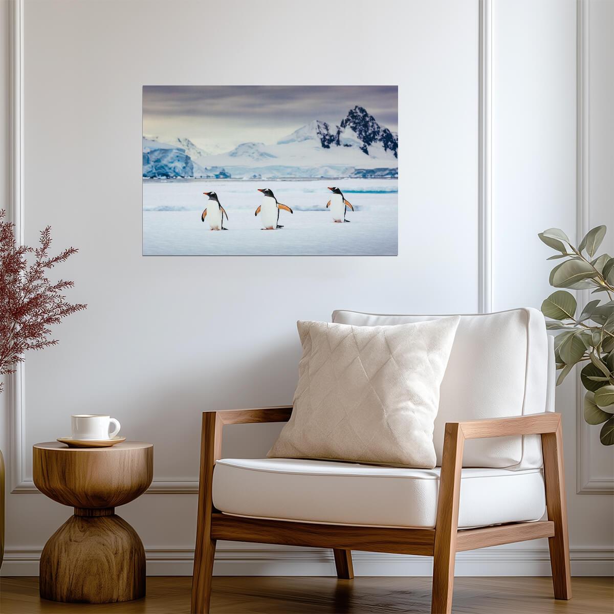 Trio of Gentoo Penguins in Antarctica | Wildlife Photography | Bird Poster - Photography Poster