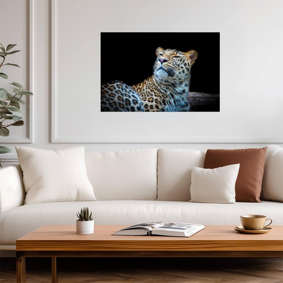 Leopard Face Detail Close Up | Big Cat Photography | Wildlife Poster - Photography Poster