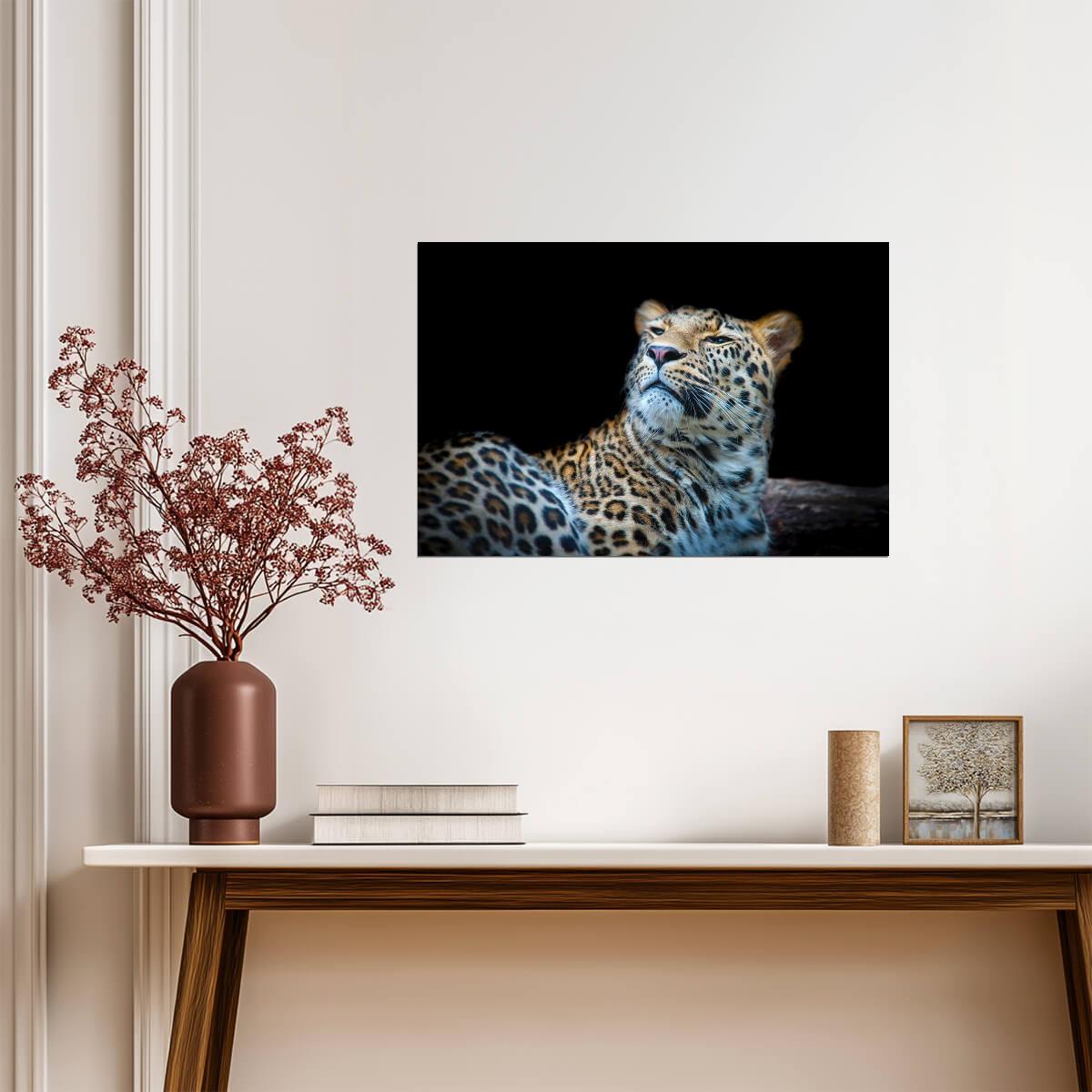 Leopard Face Detail Close Up | Big Cat Photography | Wildlife Poster - Photography Poster