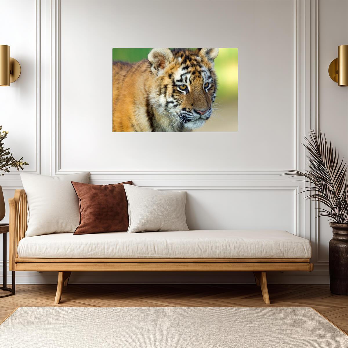Tiger Cub Close Up | Cute Wildlife Photography | Baby Animal Poster - Photography Poster