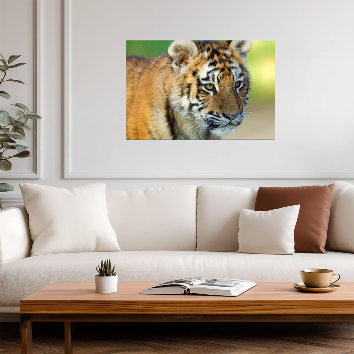 Tiger Cub Close Up | Cute Wildlife Photography | Baby Animal Poster - Photography Poster