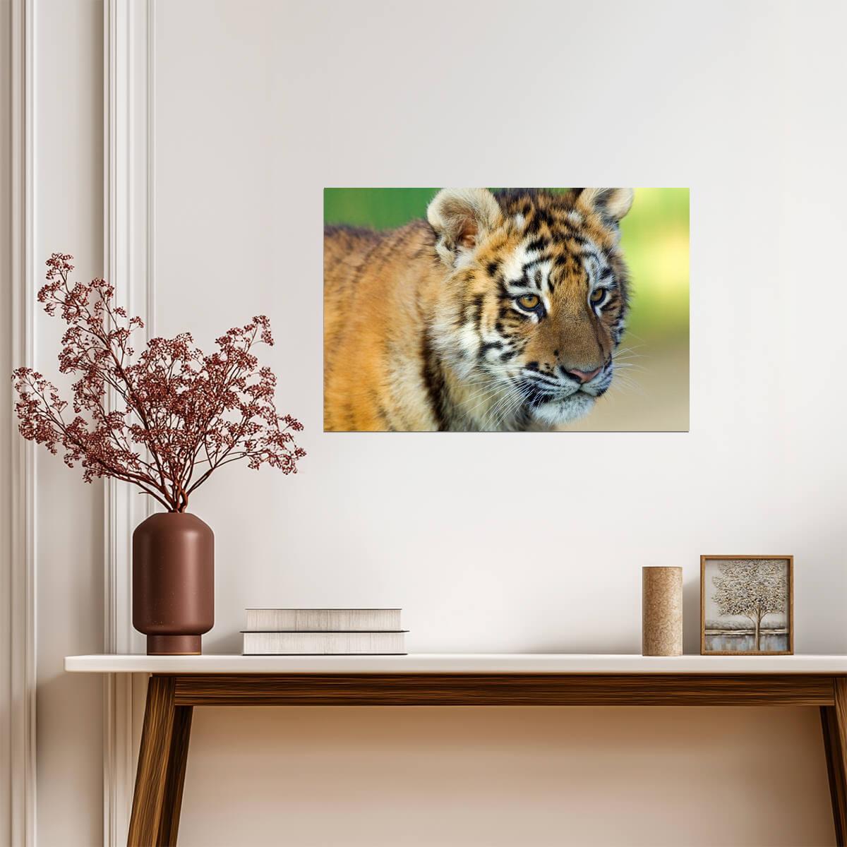 Tiger Cub Close Up | Cute Wildlife Photography | Baby Animal Poster - Photography Poster