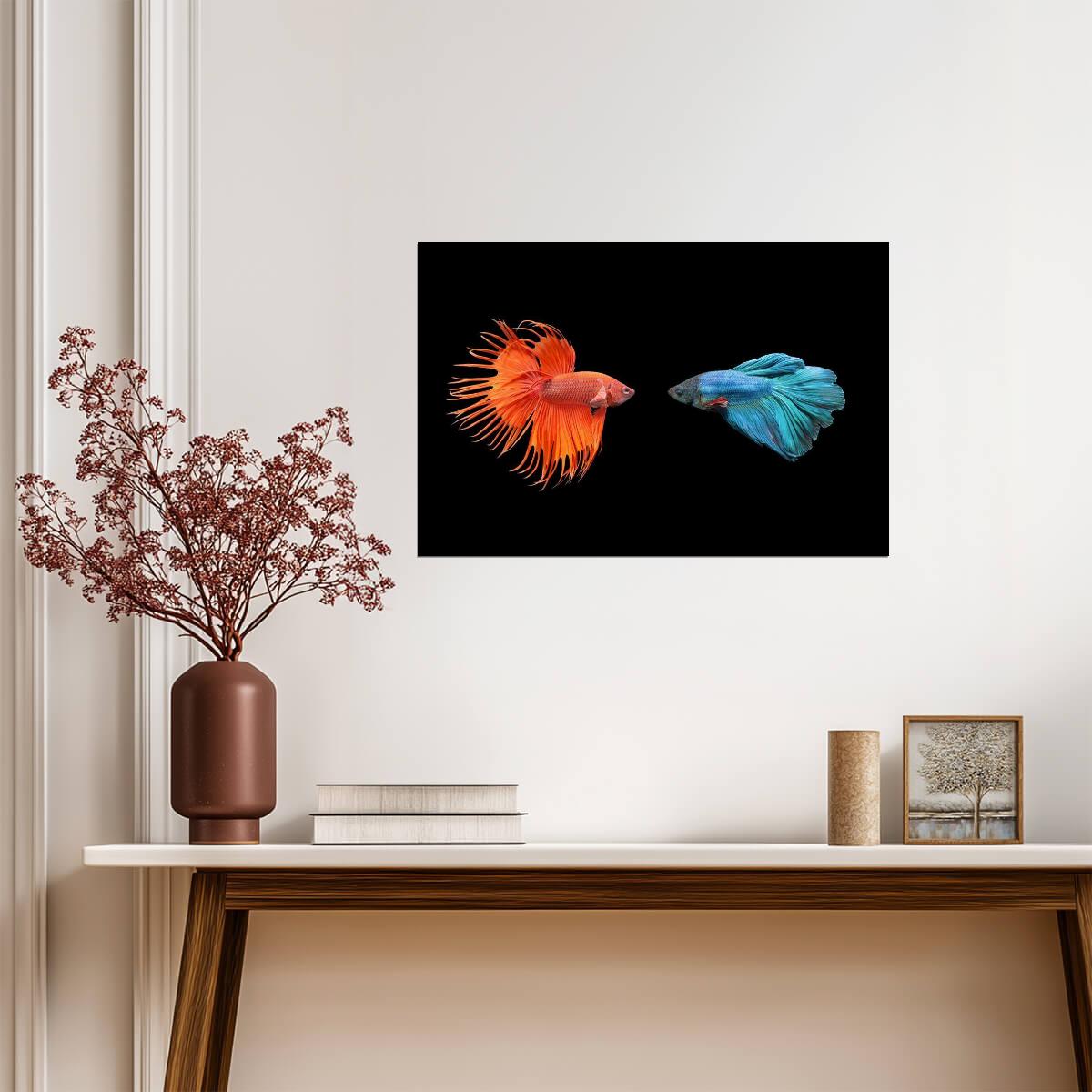 Siamese Fighting Fish (Betta) | Underwater Photography | Aquatic Art Poster - Photography Poster
