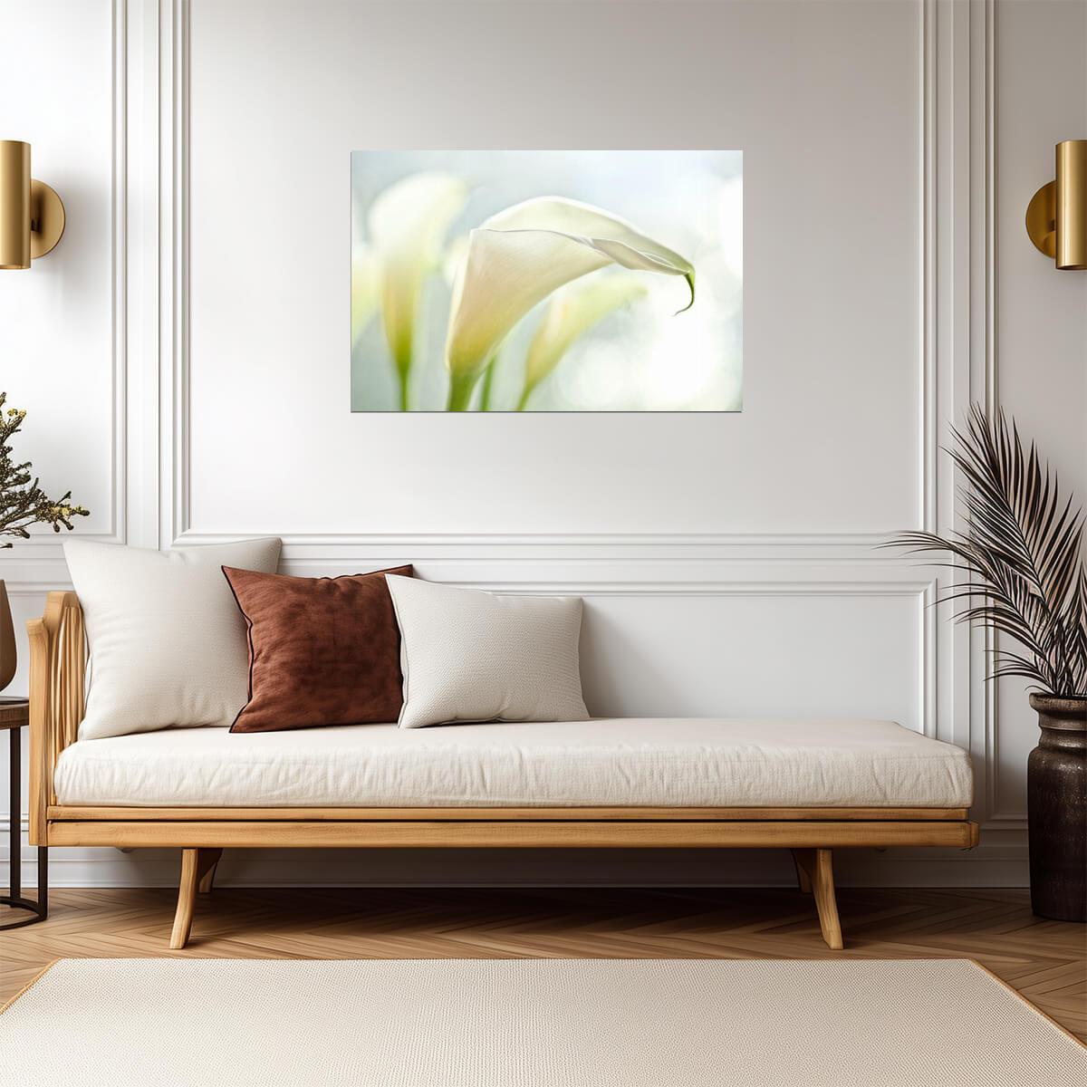 White Calla Lilies | Floral Photography Print | Botanical Wall Art Poster - Photography Poster