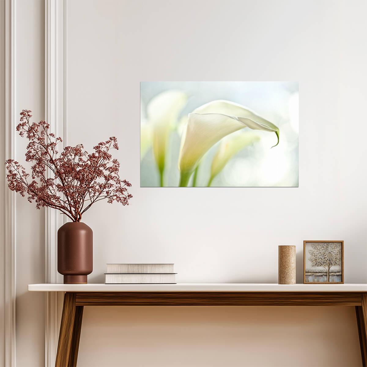 White Calla Lilies | Floral Photography Print | Botanical Wall Art Poster - Photography Poster