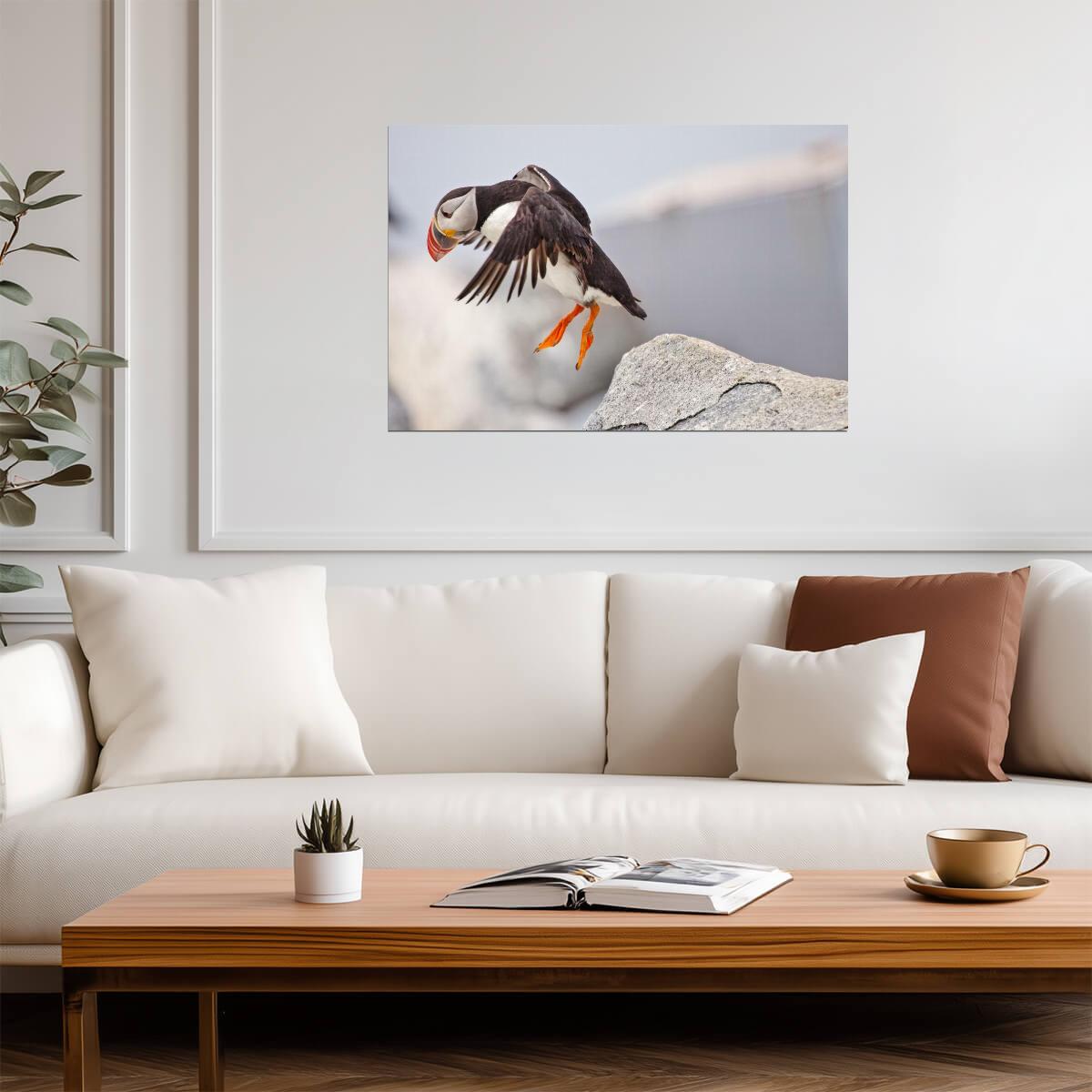 Atlantic Puffin Leaping from a Cliff | Bird Photography | Wildlife Poster - Photography Poster