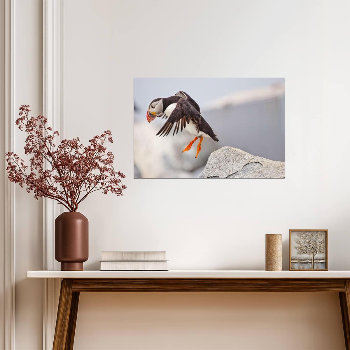 Atlantic Puffin Leaping from a Cliff | Bird Photography | Wildlife Poster - Photography Poster