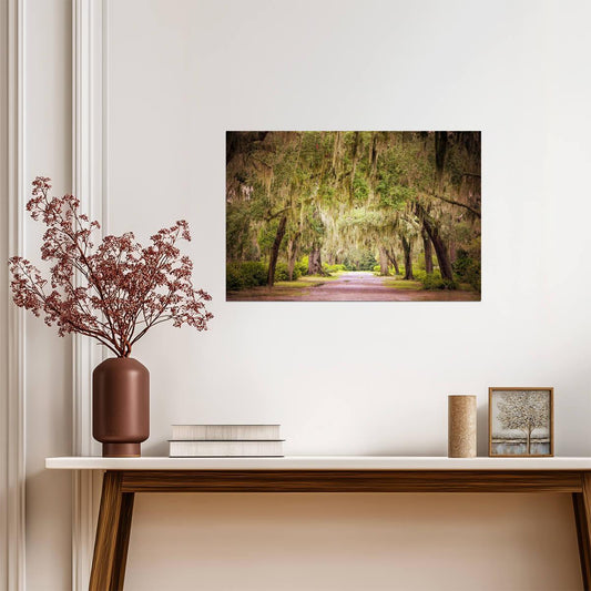 Oak Avenue at Bonaventure Cemetery | Savannah Georgia Photography | Southern Gothic Poster - Photography Poster