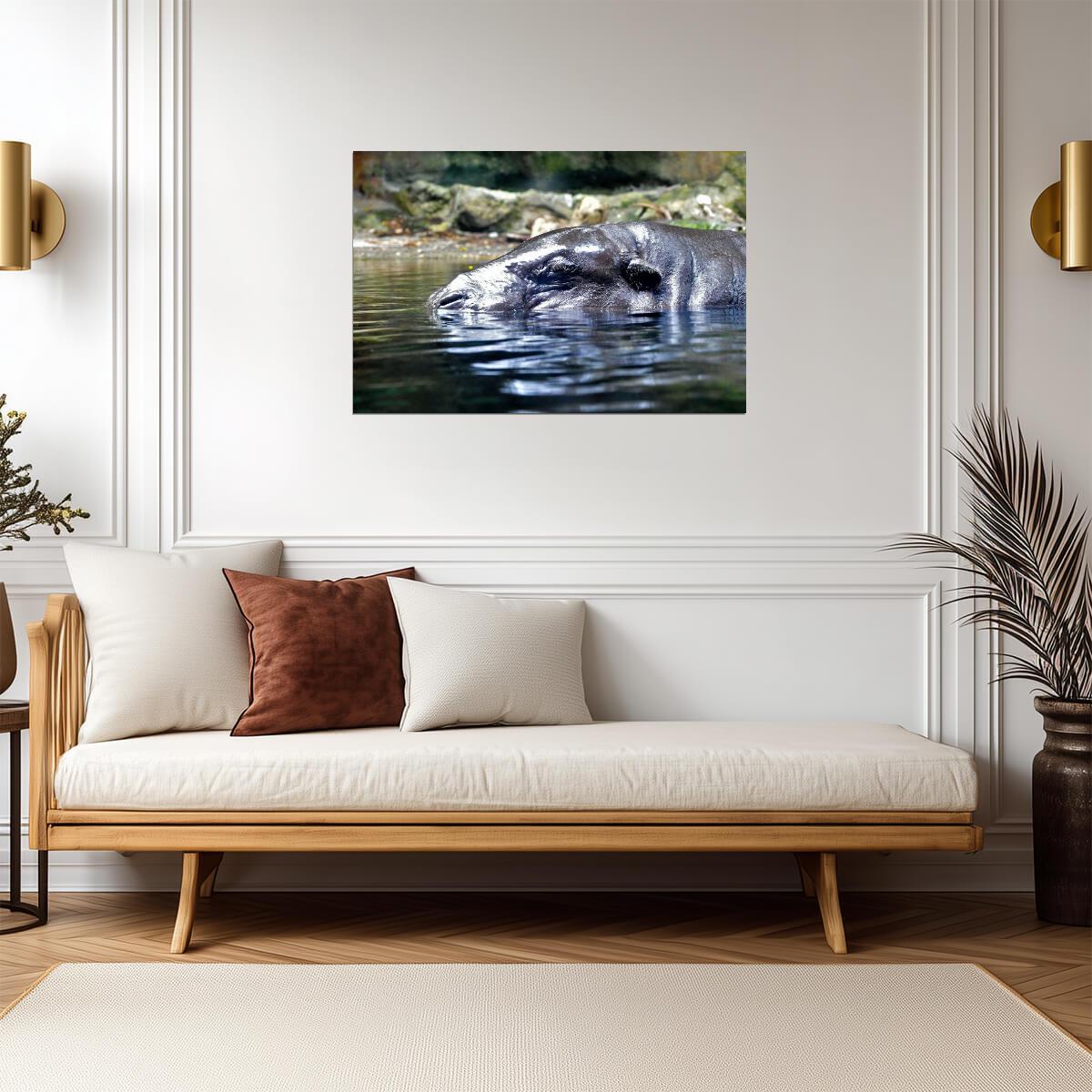 Hippopotamus in the Water | African Wildlife Photography | Animal Poster - Photography Poster