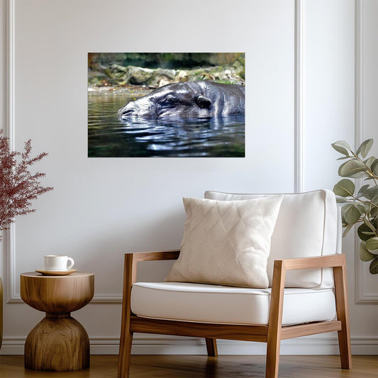 Hippopotamus in the Water | African Wildlife Photography | Animal Poster - Photography Poster