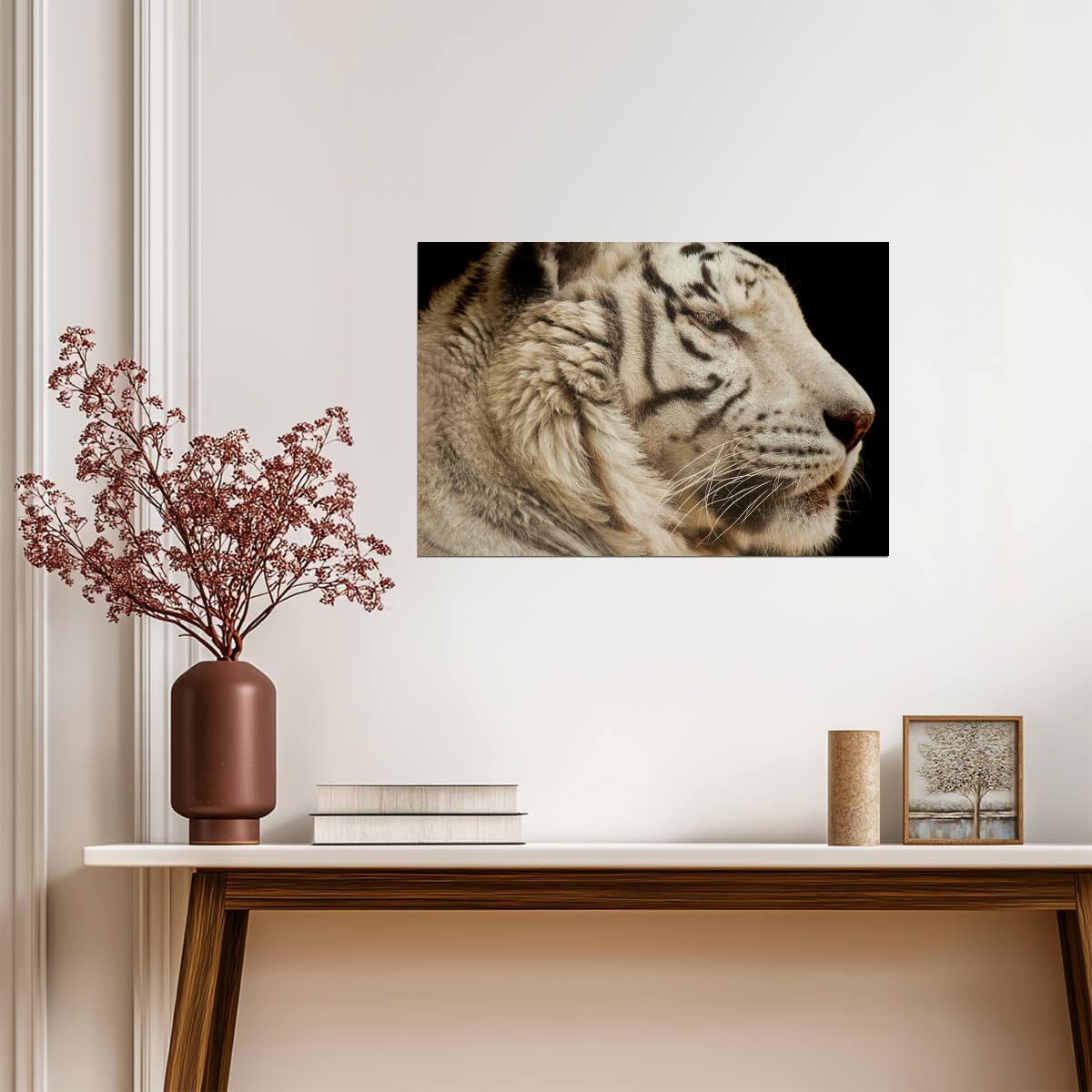 White Tiger Close Up | Wildlife Photography Portrait | Animal Poster - Photography Poster
