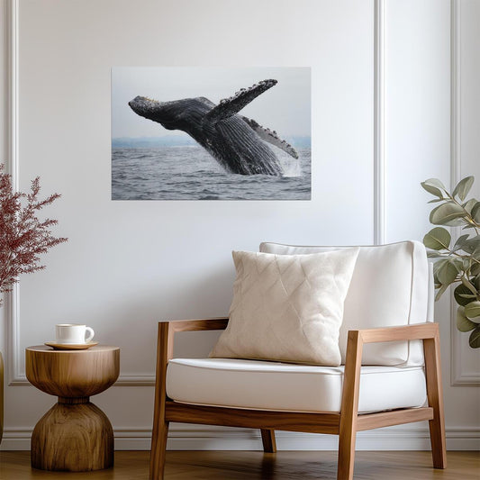Humpback Whale Breaching | Ocean Wildlife Photography | Marine Life Poster - Photography Poster