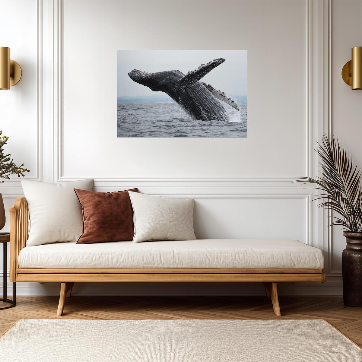 Humpback Whale Breaching | Ocean Wildlife Photography | Marine Life Poster - Photography Poster