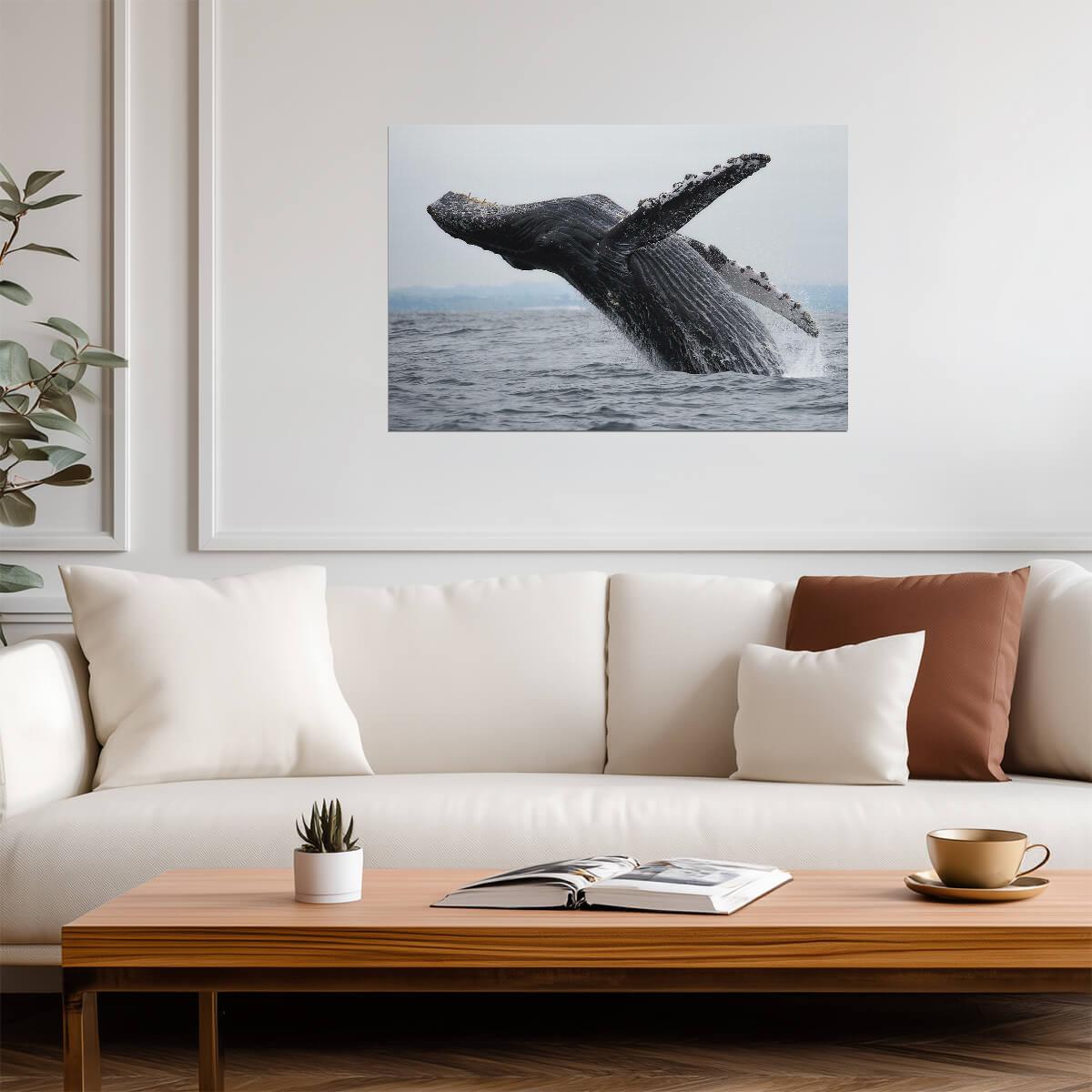 Humpback Whale Breaching | Ocean Wildlife Photography | Marine Life Poster - Photography Poster