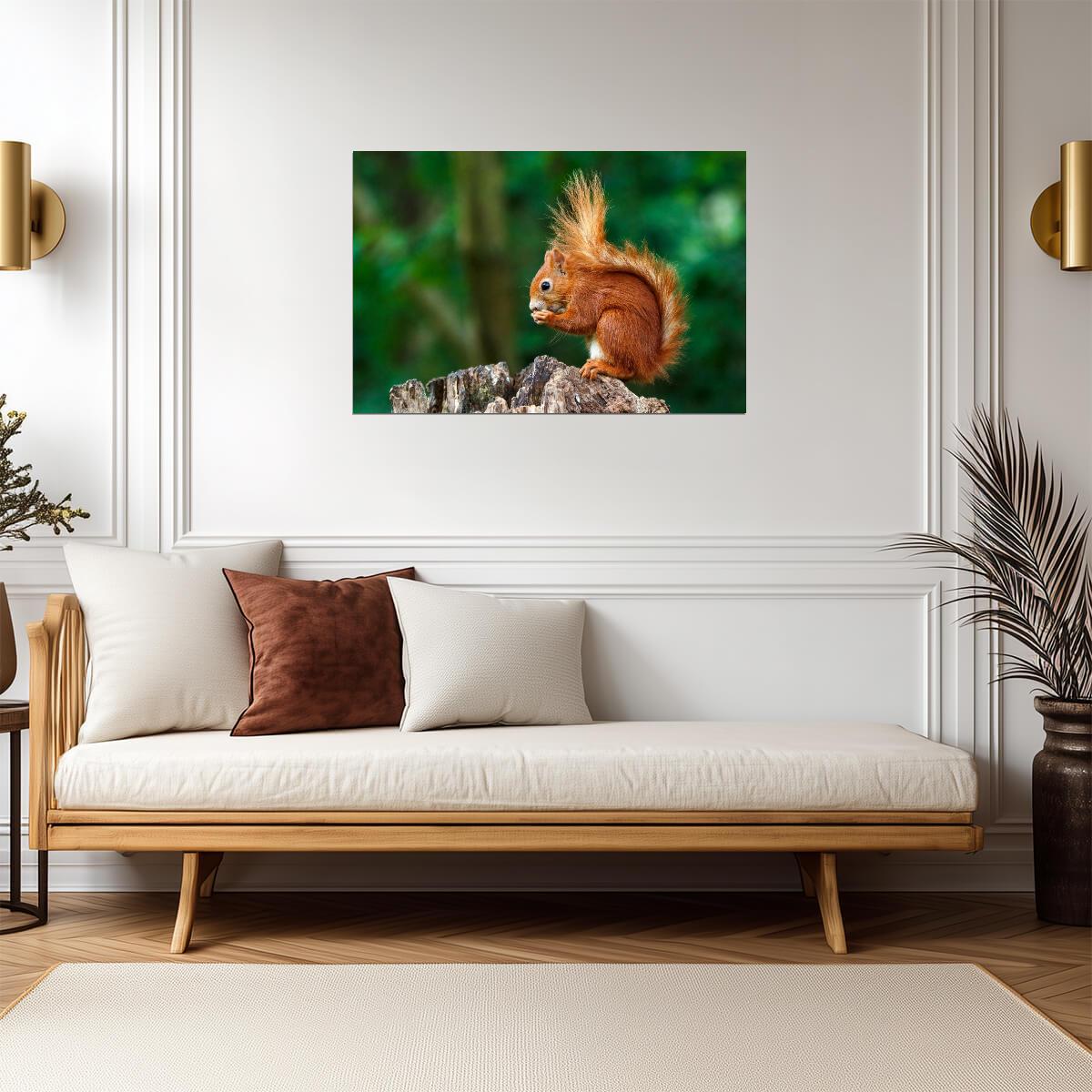 Red Squirrel Having a Snack | Wildlife Photography | Cute Animal Poster - Photography Poster