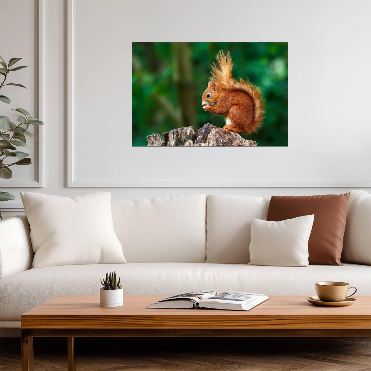 Red Squirrel Having a Snack | Wildlife Photography | Cute Animal Poster - Photography Poster