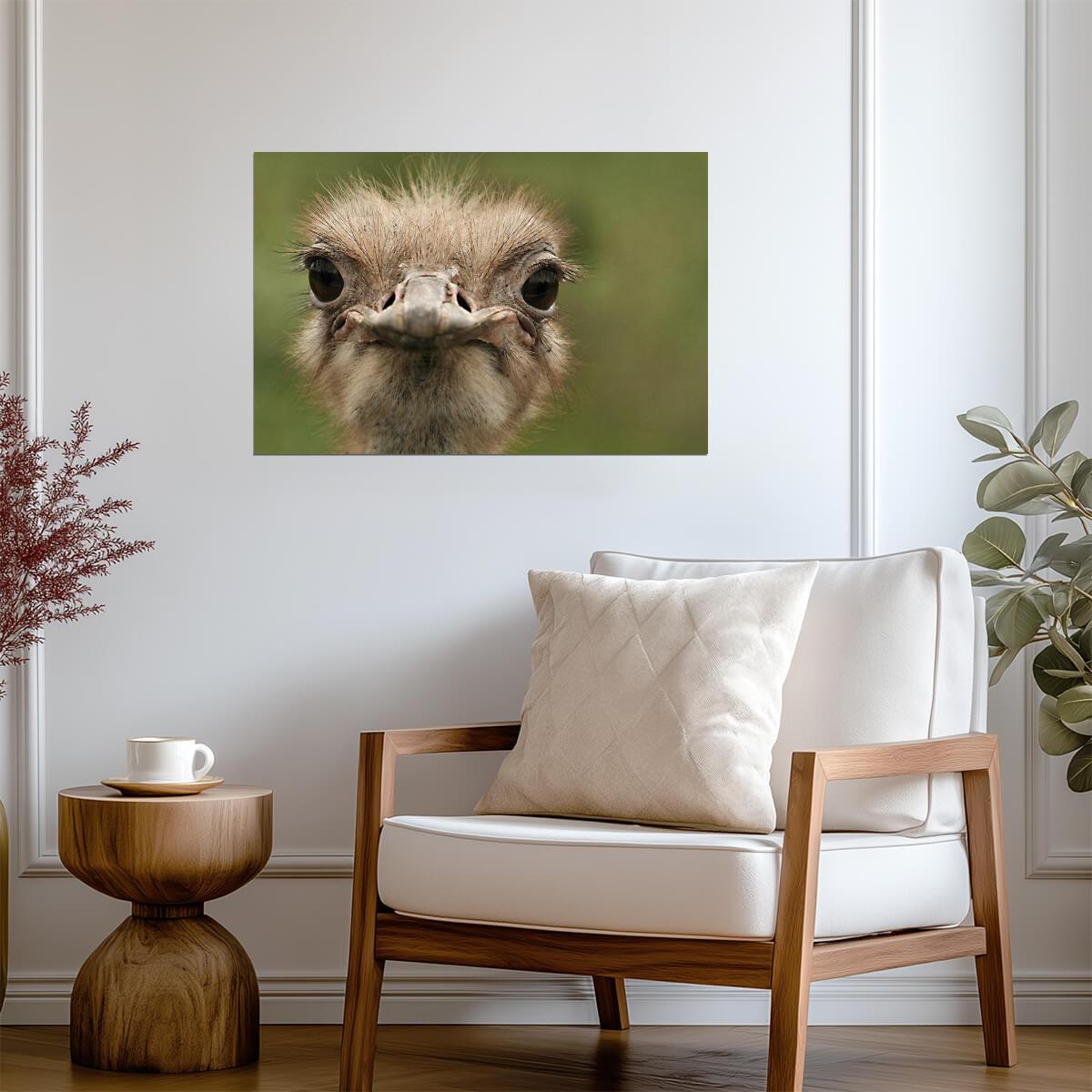 Ostrich Portrait Close Up | Bird Photography Print | Funny Animal Poster - Photography Poster