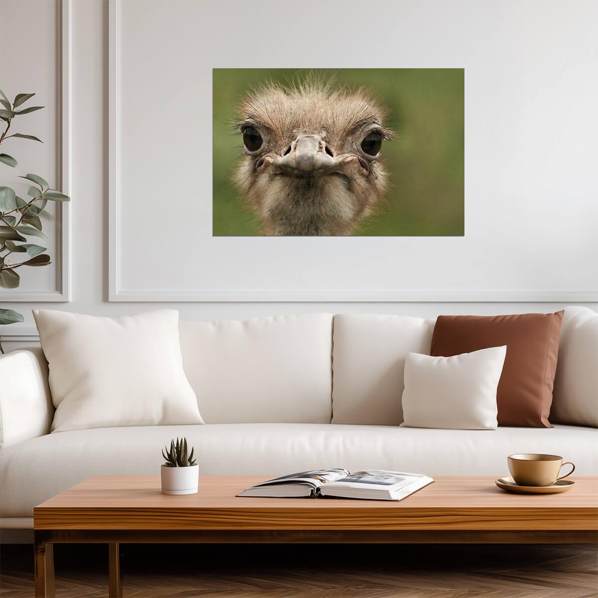 Ostrich Portrait Close Up | Bird Photography Print | Funny Animal Poster - Photography Poster