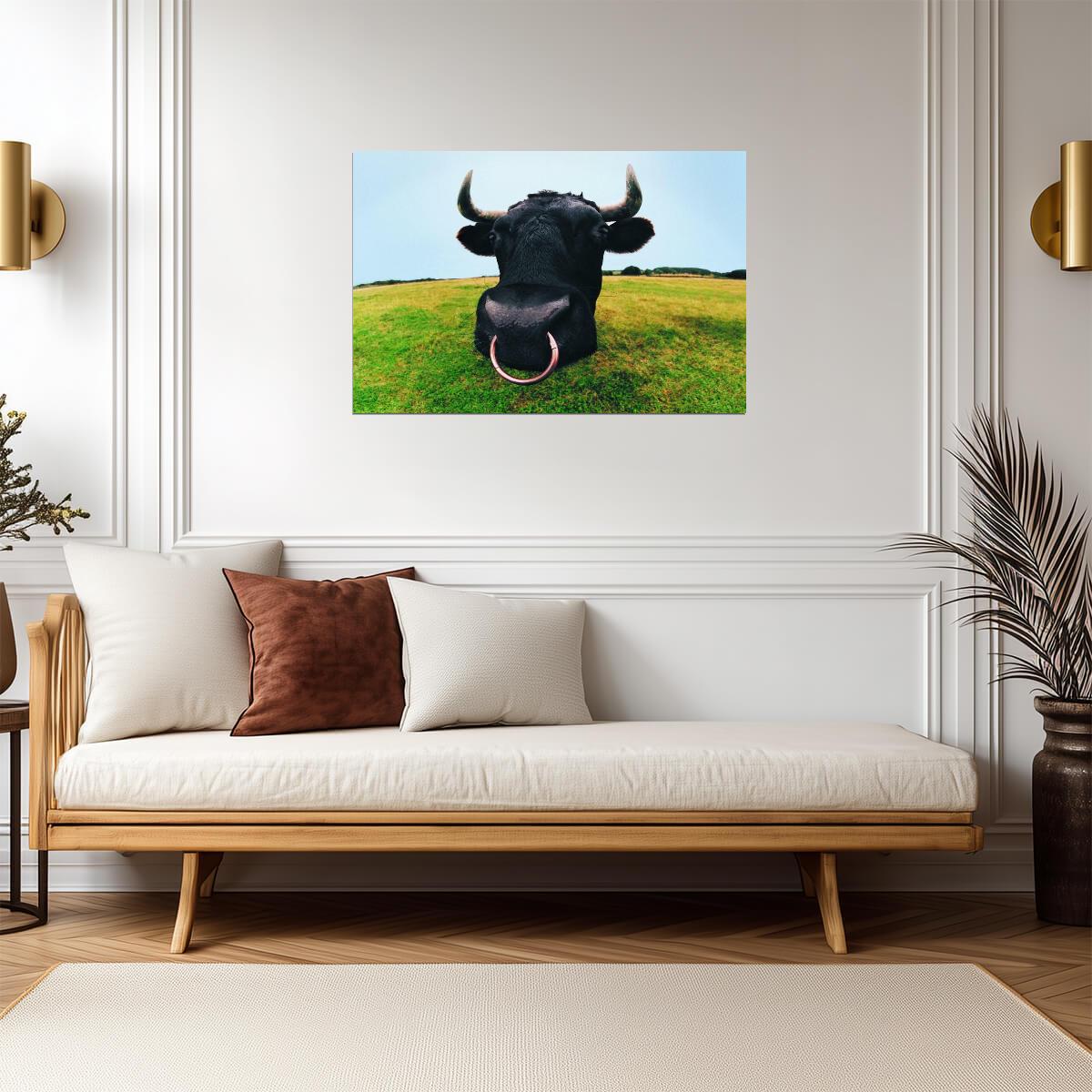 Closeup of a Bull's Head | Farm Animal Photography | Bull Poster - Photography Poster