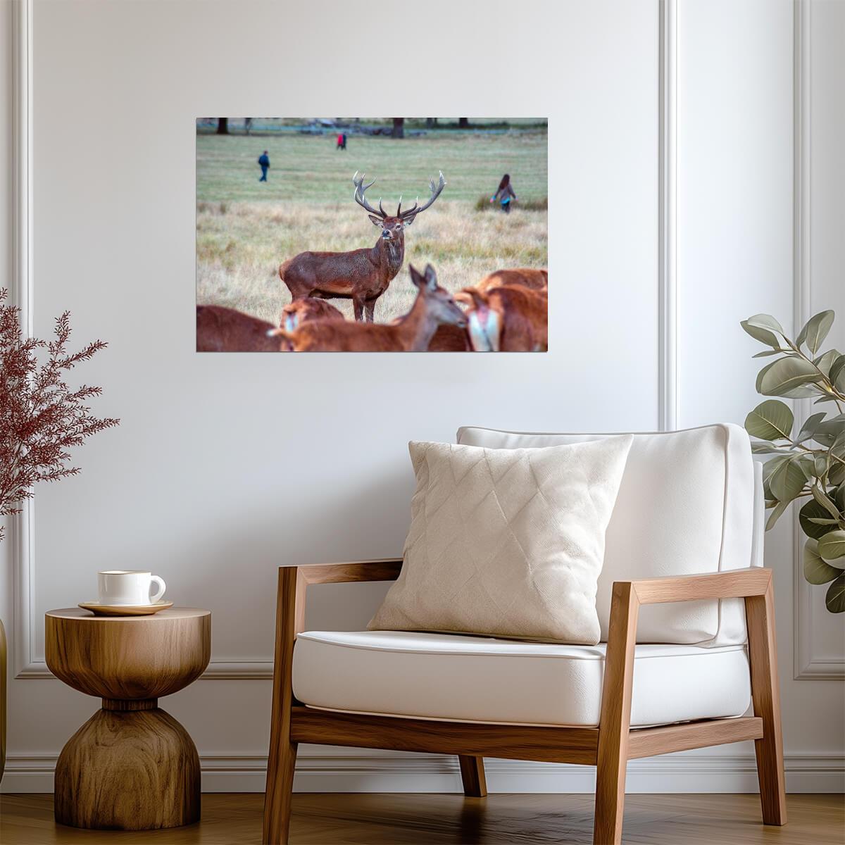 Red Deer Stag During the Rut | Wildlife Photography | Autumn Nature Poster - Photography Poster