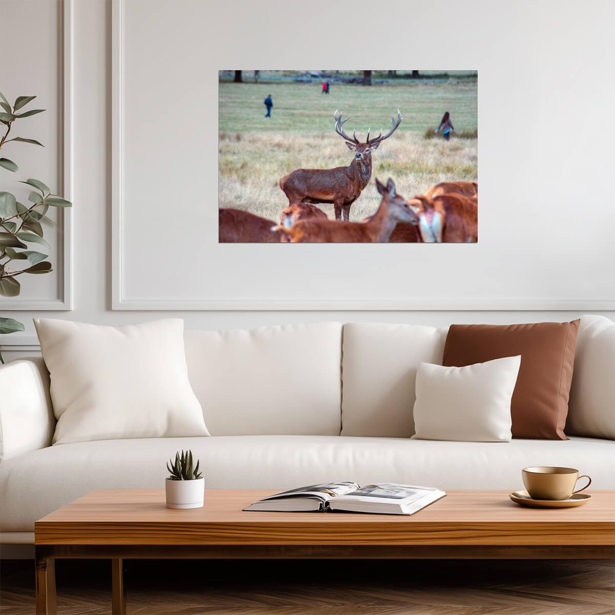 Red Deer Stag During the Rut | Wildlife Photography | Autumn Nature Poster - Photography Poster