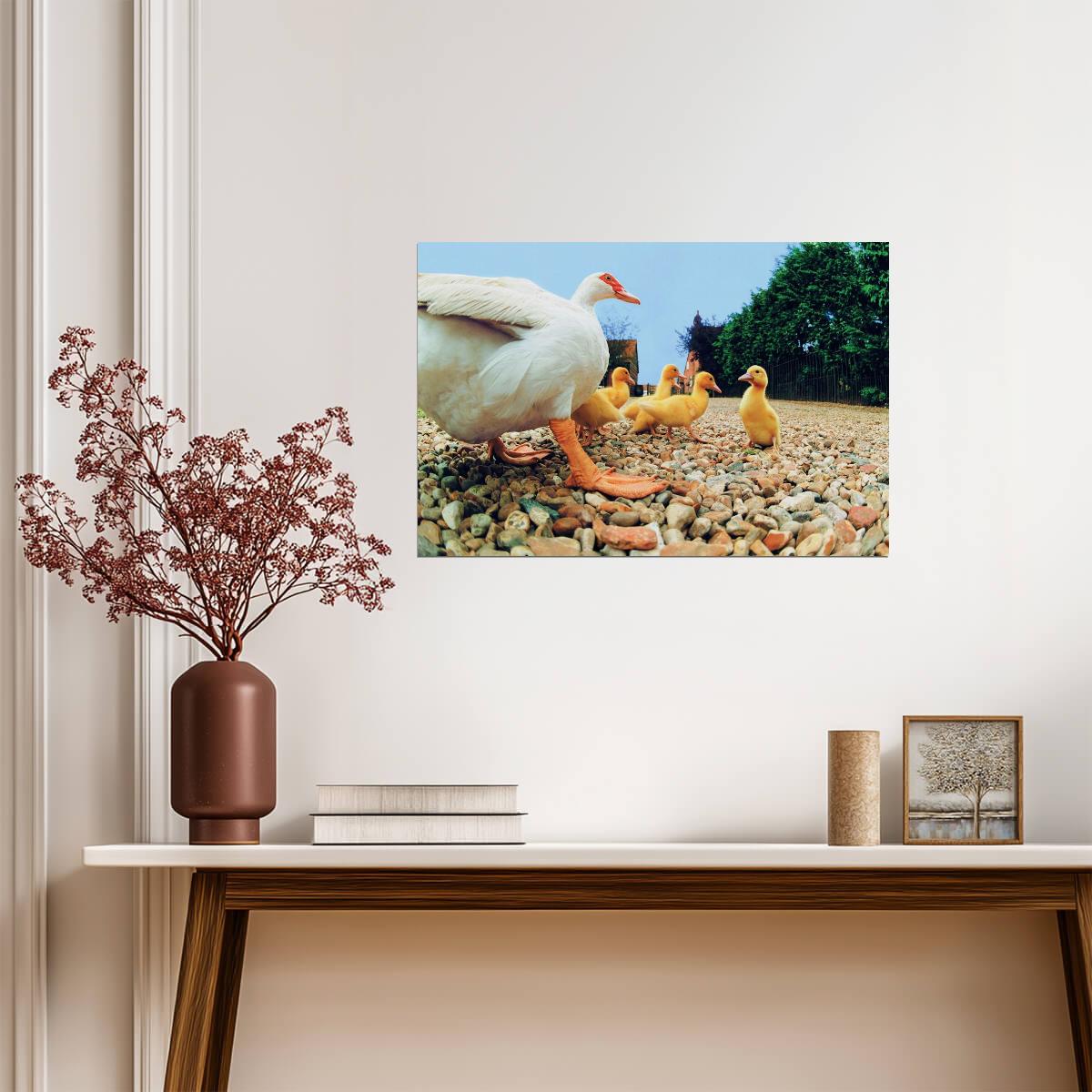 Duck With Ducklings | Bird Photography Print | Cute Animal Family Poster - Photography Poster