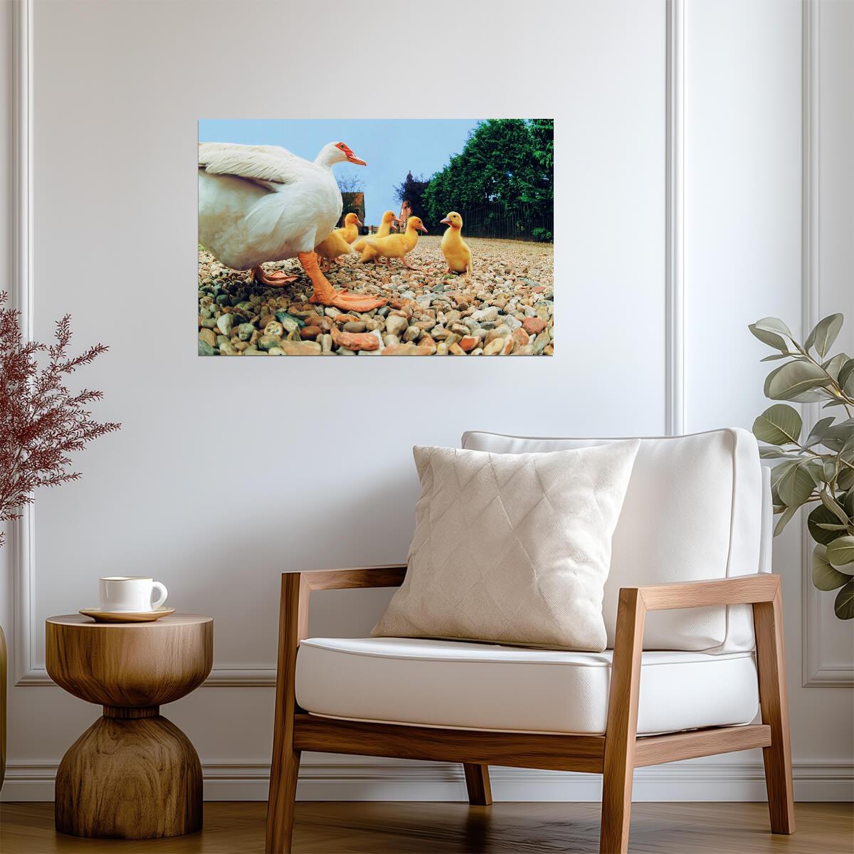 Duck With Ducklings | Bird Photography Print | Cute Animal Family Poster - Photography Poster
