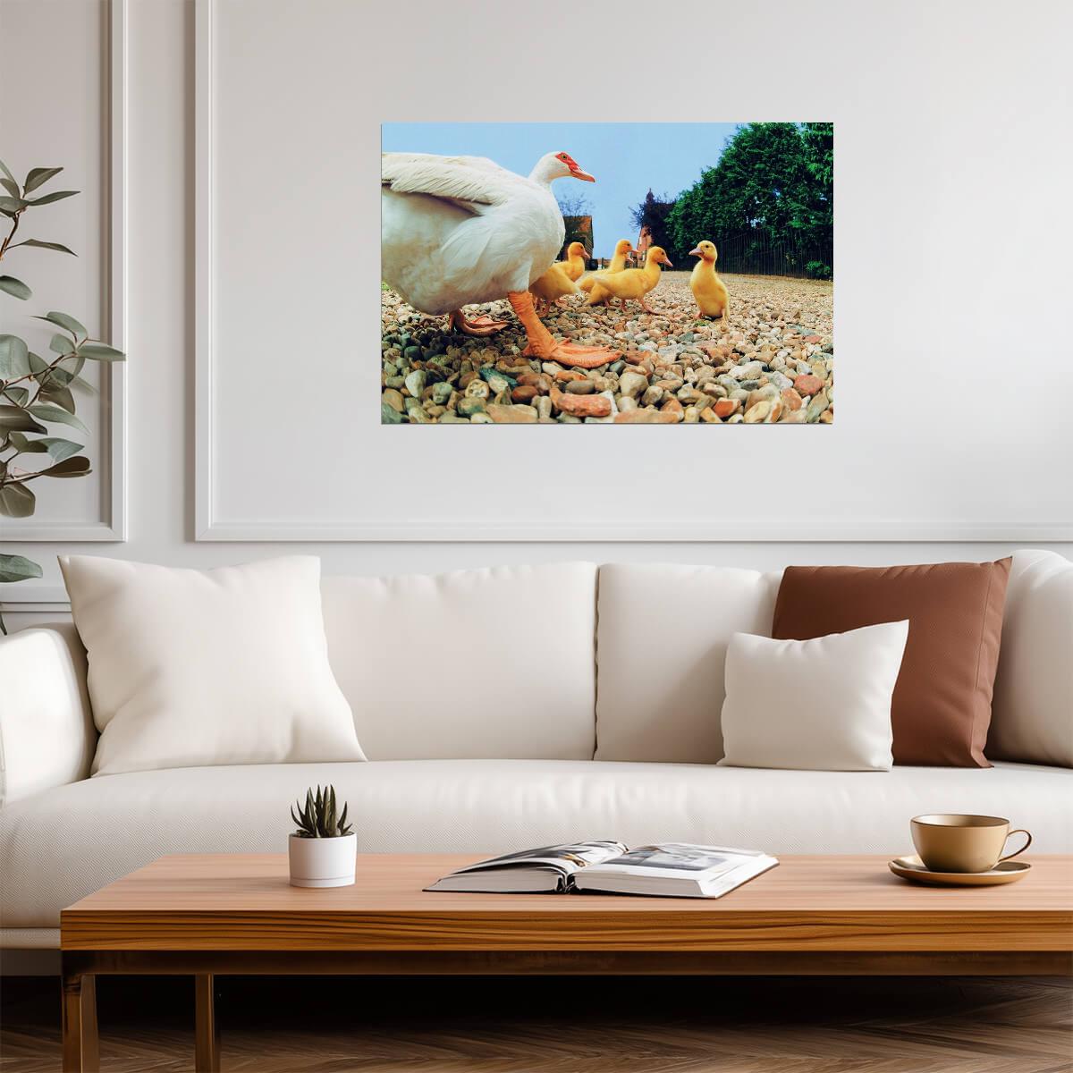 Duck With Ducklings | Bird Photography Print | Cute Animal Family Poster - Photography Poster
