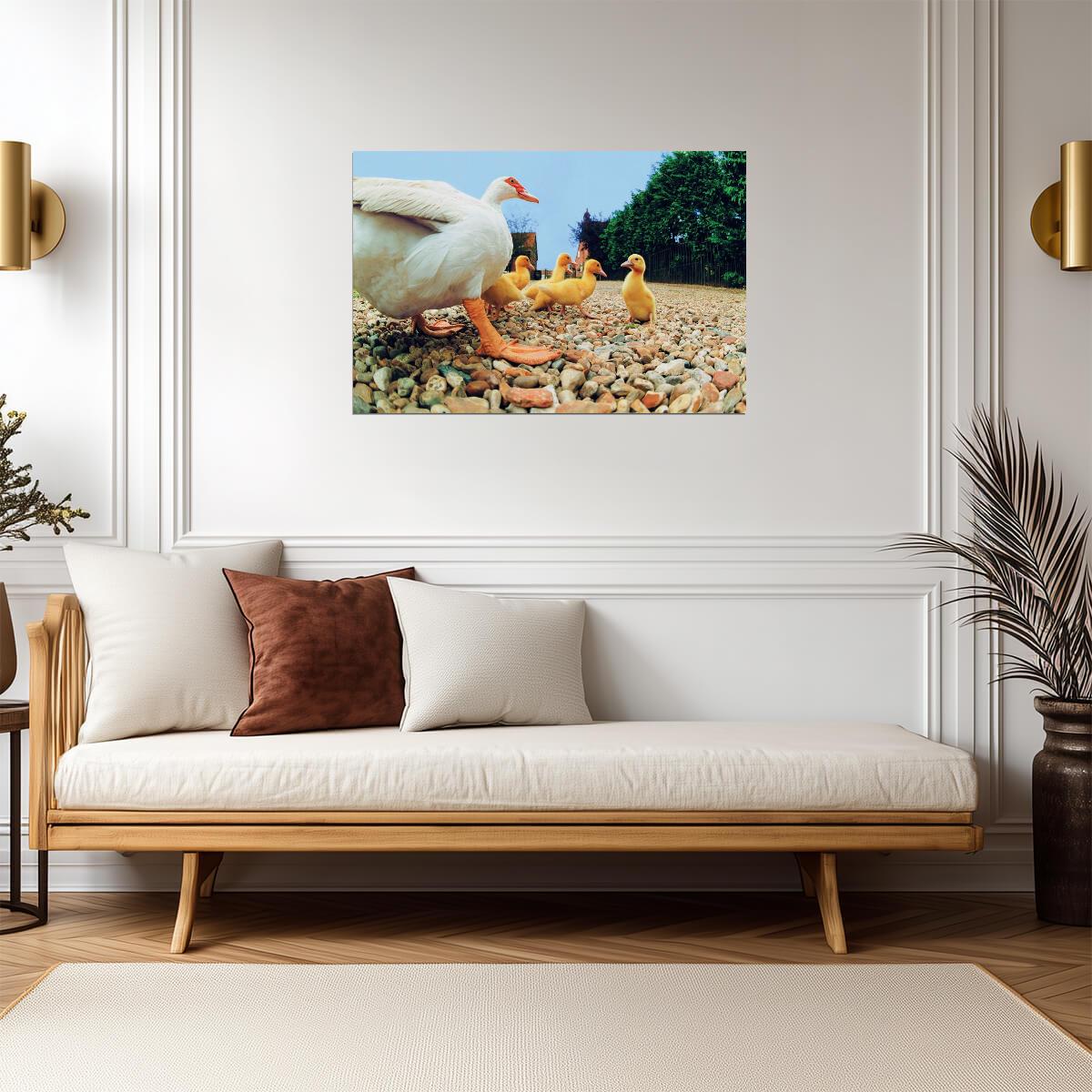 Duck With Ducklings | Bird Photography Print | Cute Animal Family Poster - Photography Poster