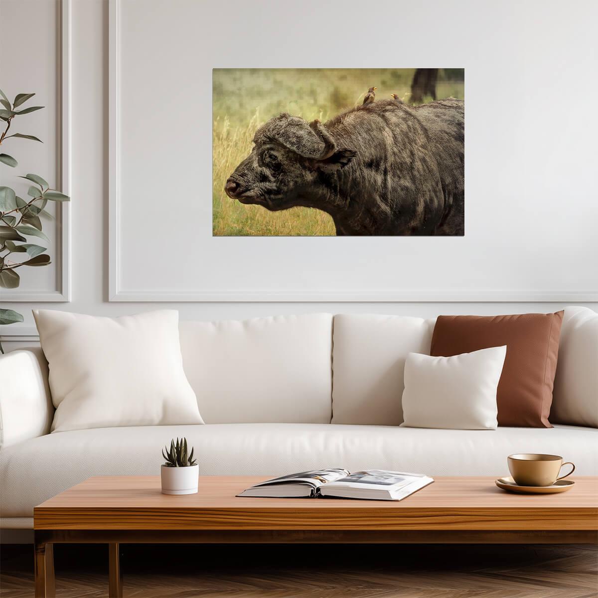 African Buffalo in the Wild | Wildlife Photography | Safari Animal Poster - Photography Poster