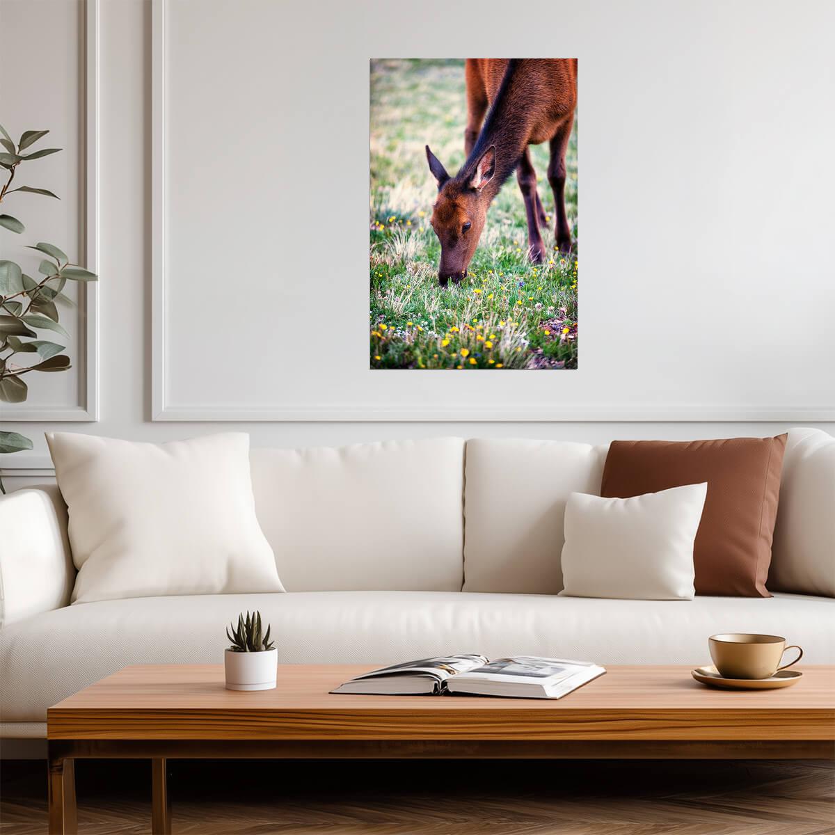 Grazing Elk in Rocky Mountain National Park | Wildlife Photography Poster - Photography Poster