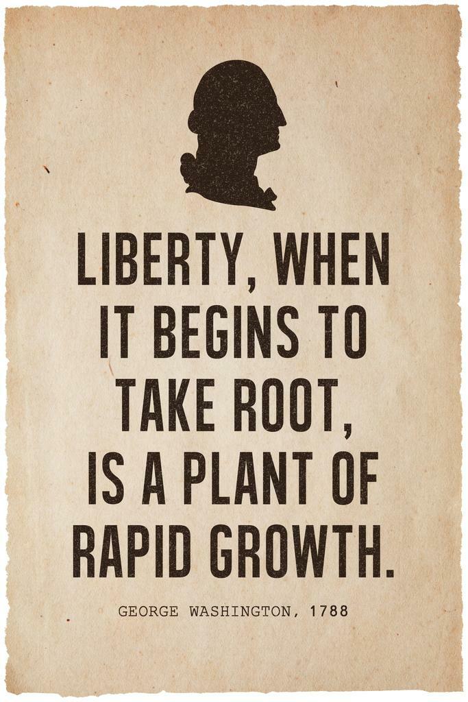 George Washington Liberty Quote Silhouette | Presidential Wall Art | American History Poster - Type & Quotes Poster