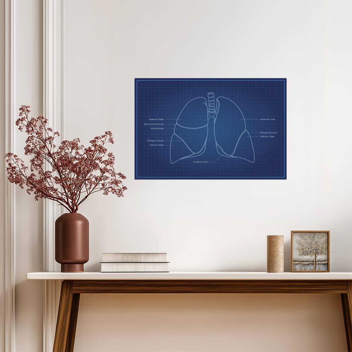 Human Lungs Diagram | Anatomy Blueprint Poster | Medical Student Wall Chart - Graphic & Art Poster