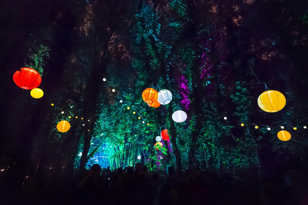 Enchanted Forest Party with Lanterns | Magical Night Photography | Festival Wall Art Poster - Photography Poster