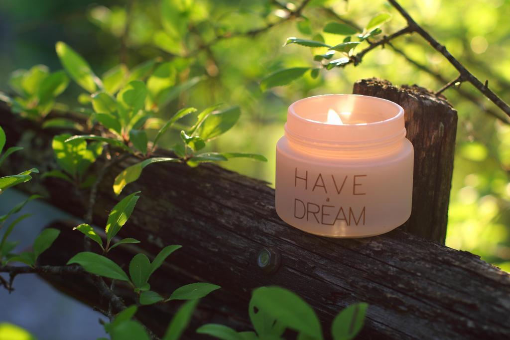 Have a Dream | Candle at Sunset Motivational Poster