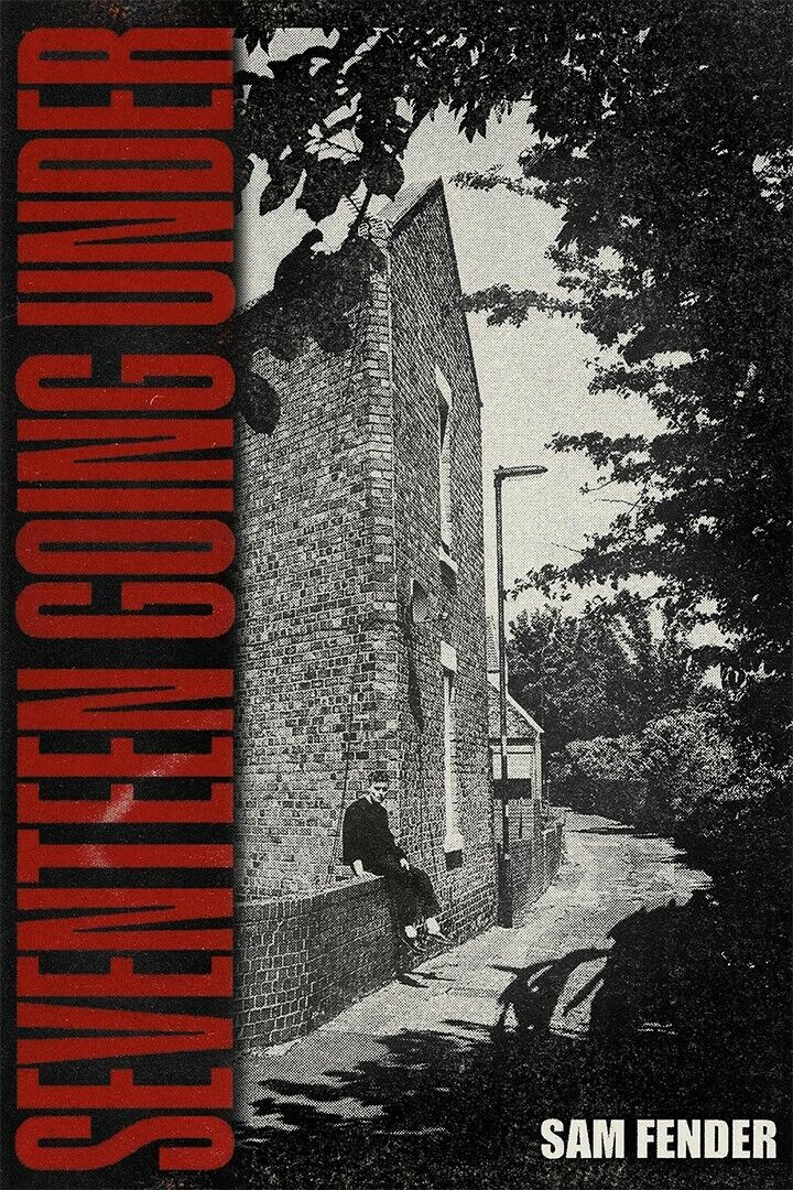 Sam Fender Seventeen Going Under | Album Cover Poster | Indie Rock Wall Art