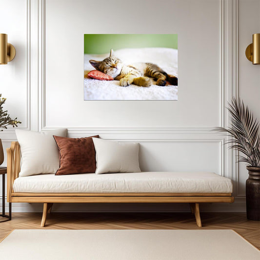 Relaxing Tabby Cat on Bed | Pet Photography Poster | Animal Wall Art - Photography Poster